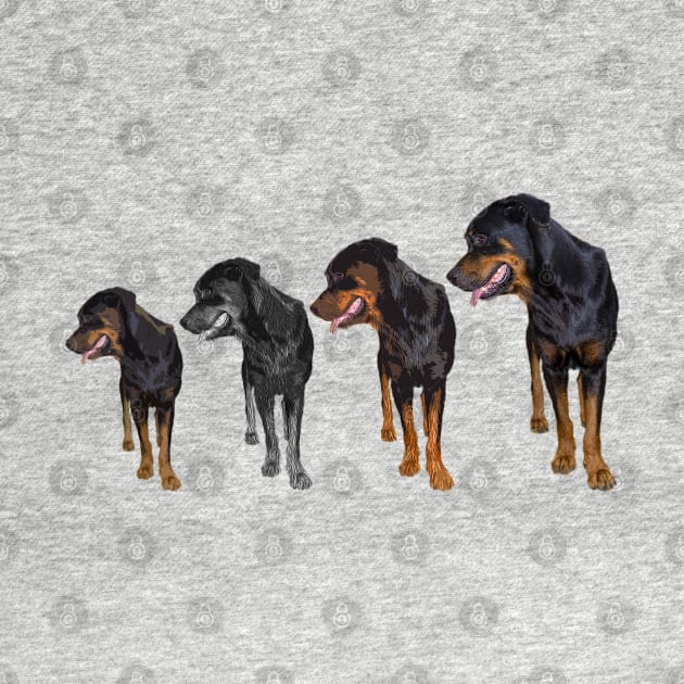 rottweiler dogs by rickylabellevie